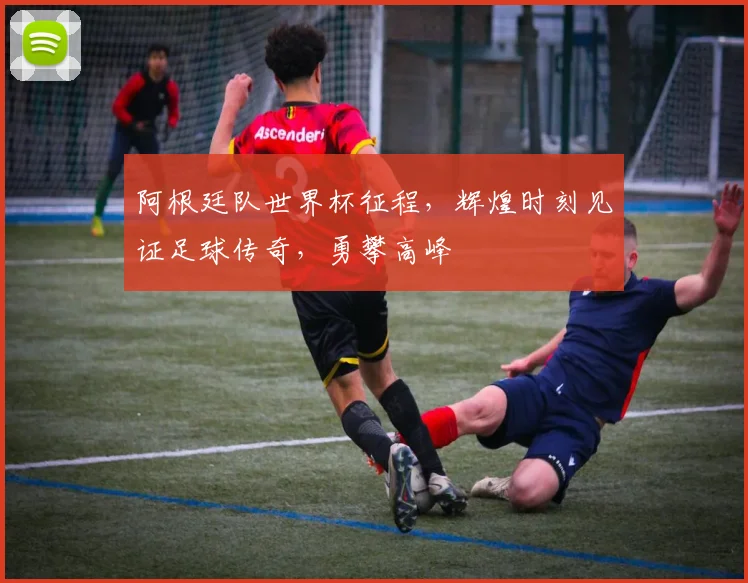 阿根廷队世界杯征程，辉煌时刻见证足球传奇，勇攀高峰